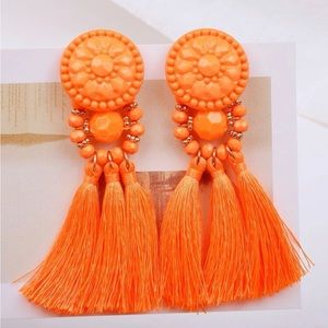Tassel Drop Earrings